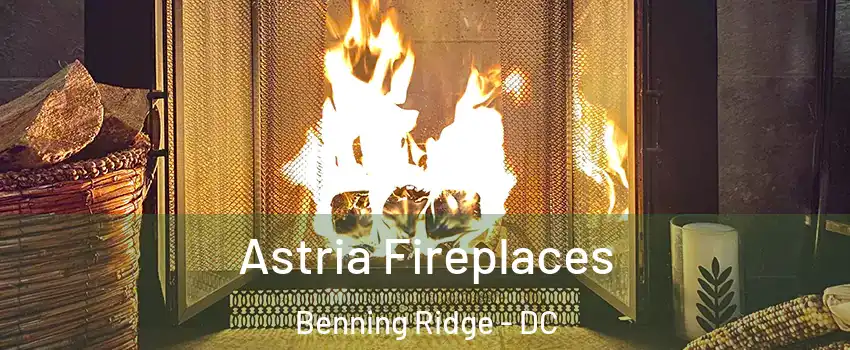 Astria Fireplaces Benning Ridge - DC