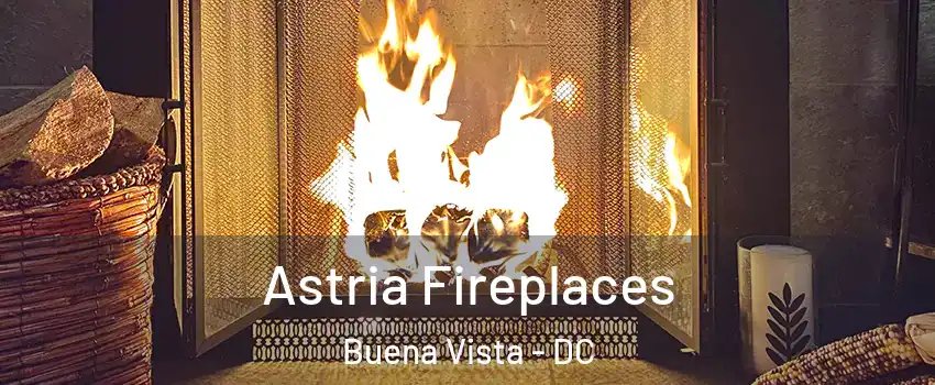Astria Fireplaces Buena Vista - DC
