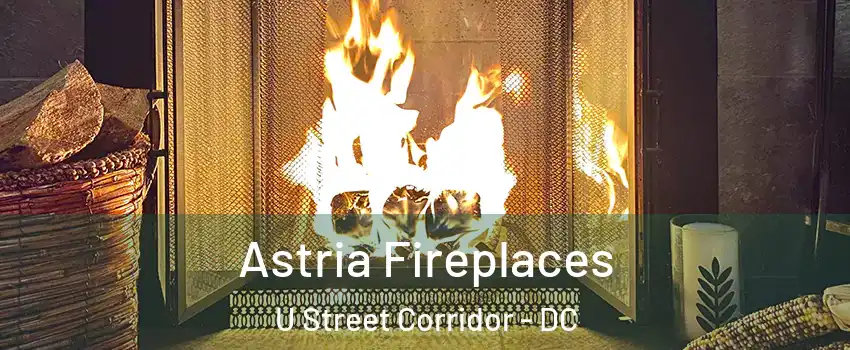 Astria Fireplaces U Street Corridor - DC