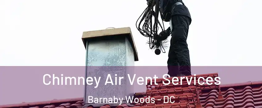 Chimney Air Vent Services Barnaby Woods - DC