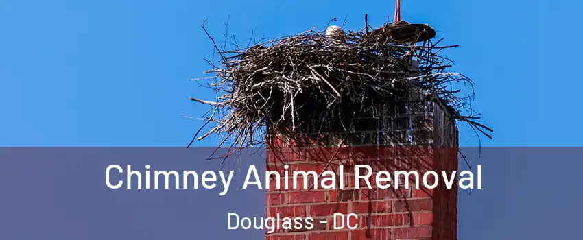 Chimney Animal Removal Douglass - DC
