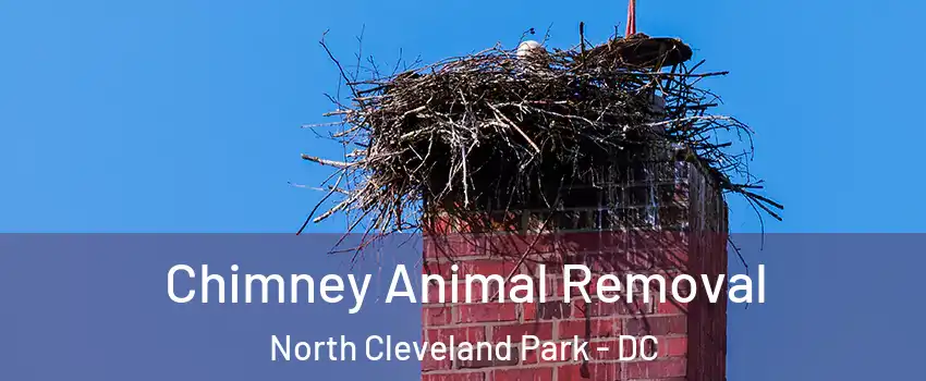 Chimney Animal Removal North Cleveland Park - DC
