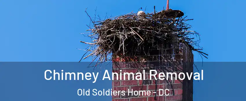 Chimney Animal Removal Old Soldiers Home - DC