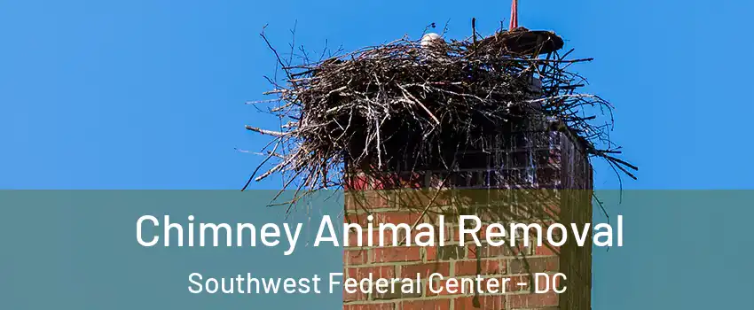 Chimney Animal Removal Southwest Federal Center - DC