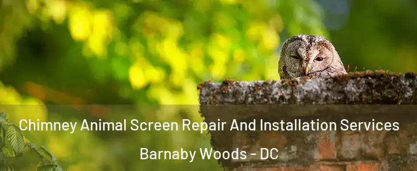 Chimney Animal Screen Repair And Installation Services Barnaby Woods - DC