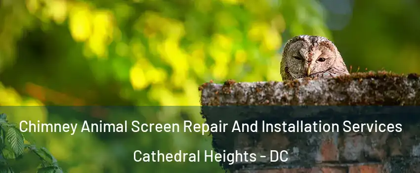 Chimney Animal Screen Repair And Installation Services Cathedral Heights - DC