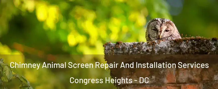 Chimney Animal Screen Repair And Installation Services Congress Heights - DC