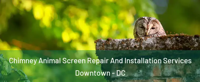 Chimney Animal Screen Repair And Installation Services Downtown - DC