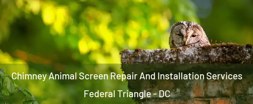 Chimney Animal Screen Repair And Installation Services Federal Triangle - DC