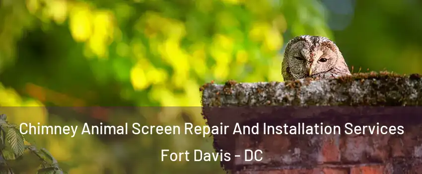 Chimney Animal Screen Repair And Installation Services Fort Davis - DC