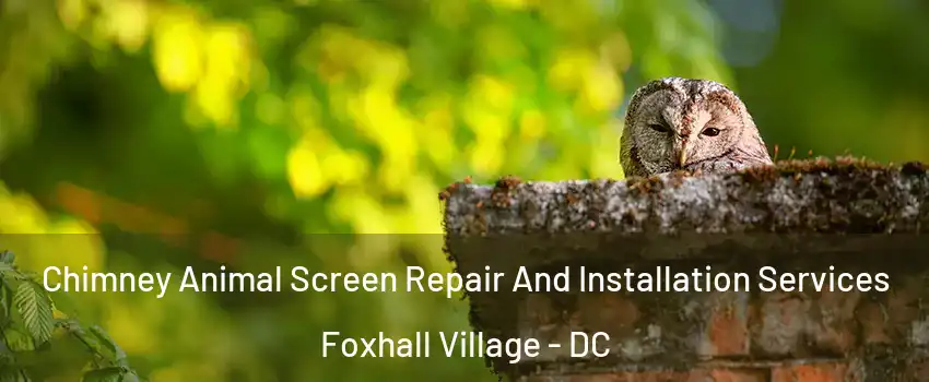 Chimney Animal Screen Repair And Installation Services Foxhall Village - DC