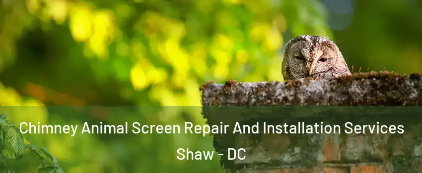 Chimney Animal Screen Repair And Installation Services Shaw - DC