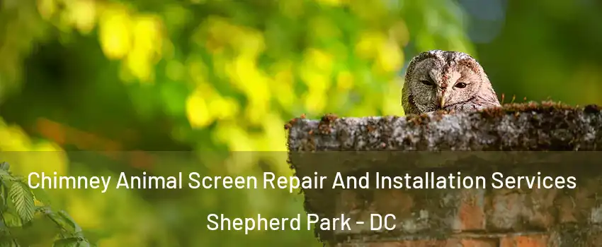 Chimney Animal Screen Repair And Installation Services Shepherd Park - DC