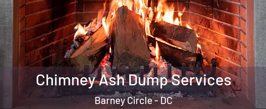 Chimney Ash Dump Services Barney Circle - DC