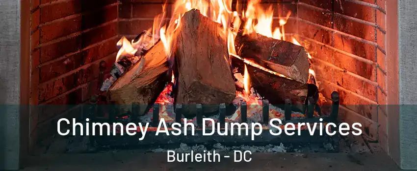 Chimney Ash Dump Services Burleith - DC
