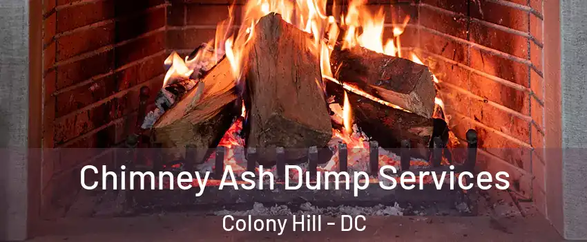 Chimney Ash Dump Services Colony Hill - DC