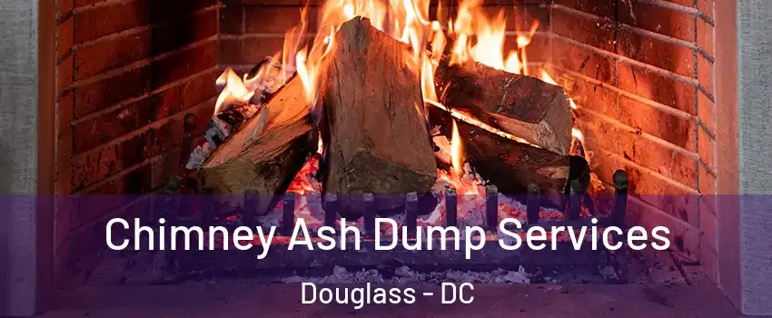 Chimney Ash Dump Services Douglass - DC