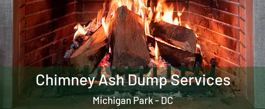 Chimney Ash Dump Services Michigan Park - DC
