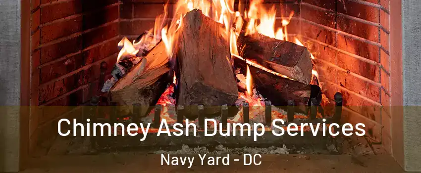 Chimney Ash Dump Services Navy Yard - DC