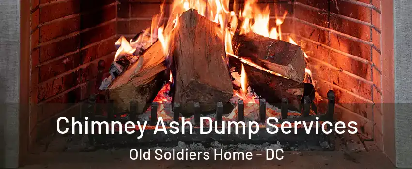 Chimney Ash Dump Services Old Soldiers Home - DC
