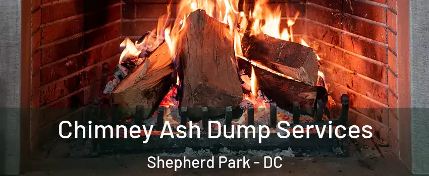 Chimney Ash Dump Services Shepherd Park - DC
