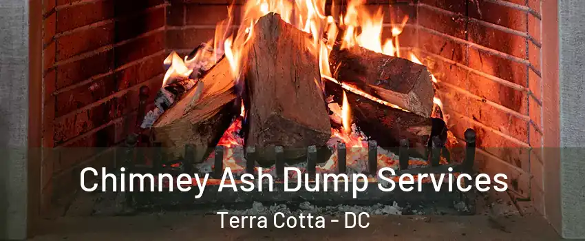 Chimney Ash Dump Services Terra Cotta - DC