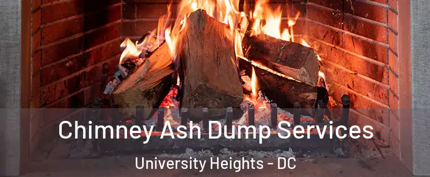 Chimney Ash Dump Services University Heights - DC