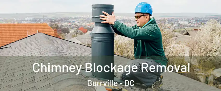 Chimney Blockage Removal Burrville - DC