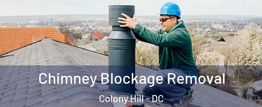 Chimney Blockage Removal Colony Hill - DC