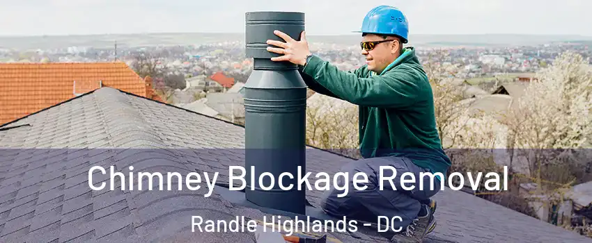 Chimney Blockage Removal Randle Highlands - DC
