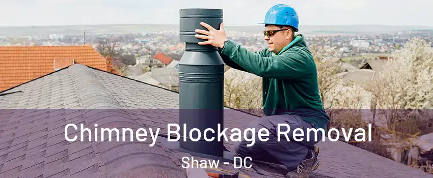 Chimney Blockage Removal Shaw - DC