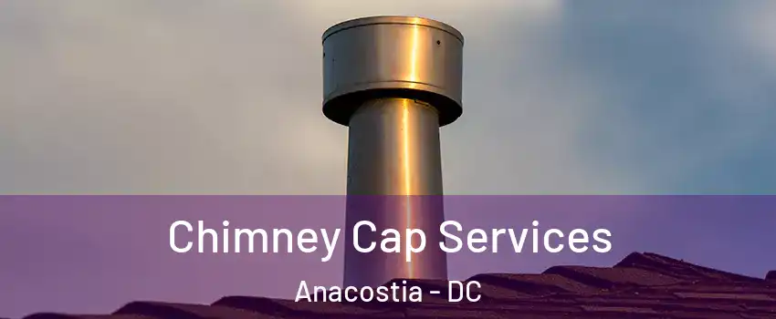 Chimney Cap Services Anacostia - DC