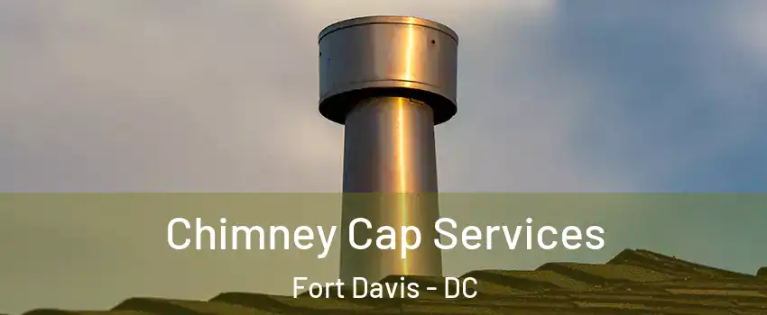 Chimney Cap Services Fort Davis - DC