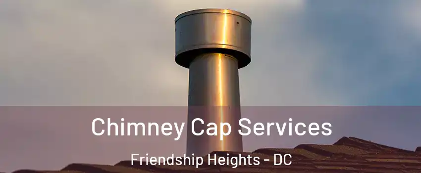 Chimney Cap Services Friendship Heights - DC