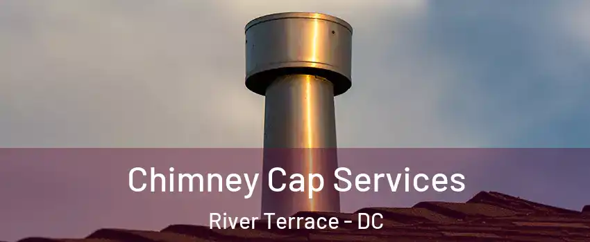 Chimney Cap Services River Terrace - DC