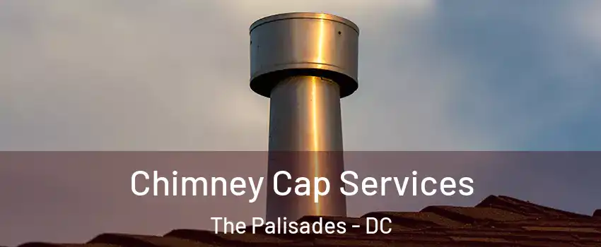 Chimney Cap Services The Palisades - DC