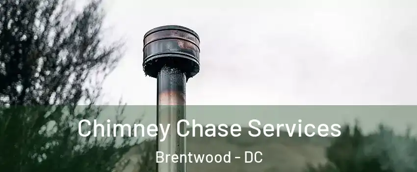 Chimney Chase Services Brentwood - DC