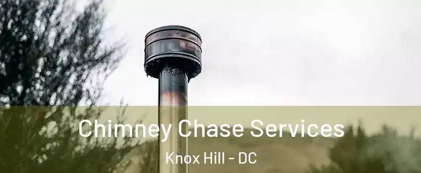 Chimney Chase Services Knox Hill - DC