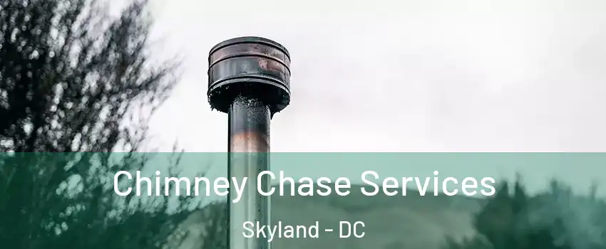 Chimney Chase Services Skyland - DC