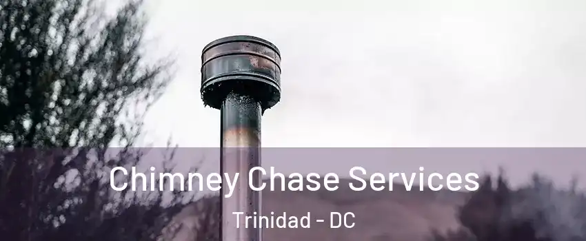 Chimney Chase Services Trinidad - DC