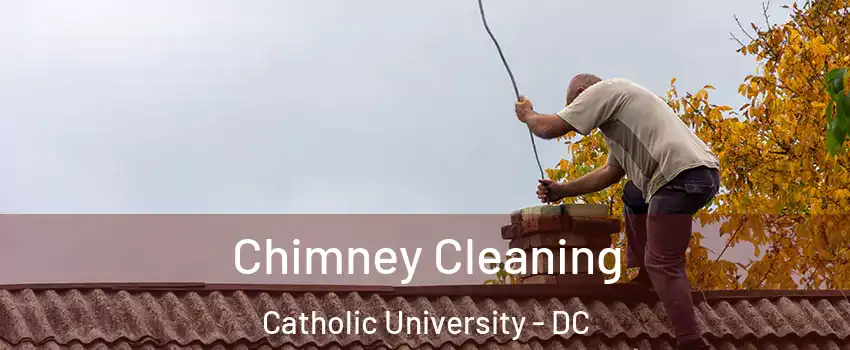 Chimney Cleaning Catholic University - DC