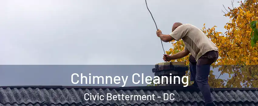 Chimney Cleaning Civic Betterment - DC