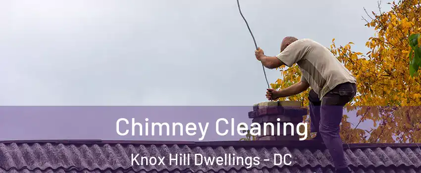 Chimney Cleaning Knox Hill Dwellings - DC