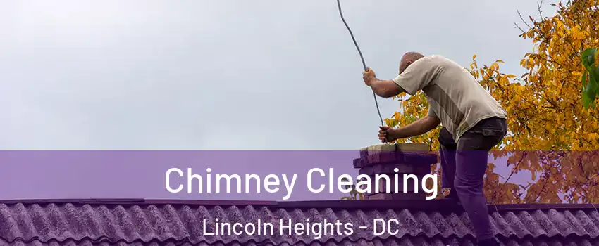 Chimney Cleaning Lincoln Heights - DC