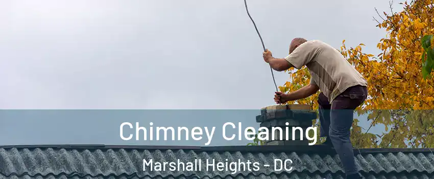 Chimney Cleaning Marshall Heights - DC
