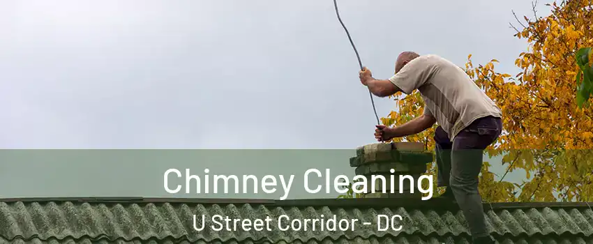 Chimney Cleaning U Street Corridor - DC