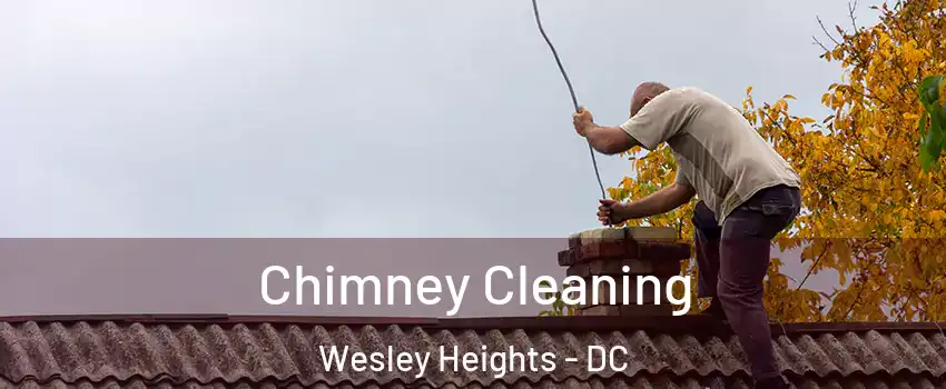 Chimney Cleaning Wesley Heights - DC