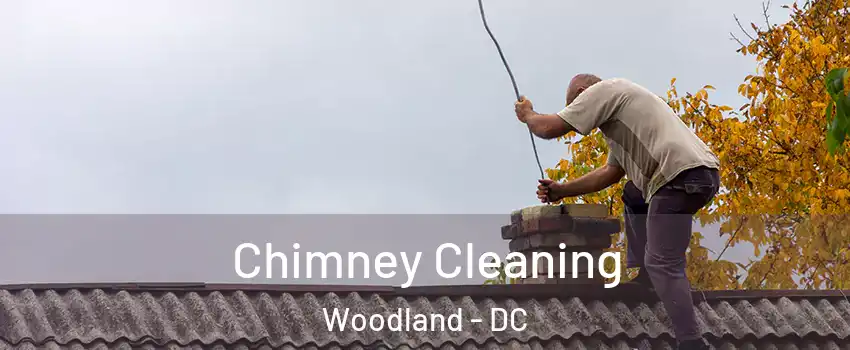 Chimney Cleaning Woodland - DC