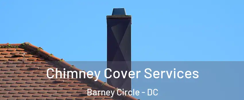 Chimney Cover Services Barney Circle - DC