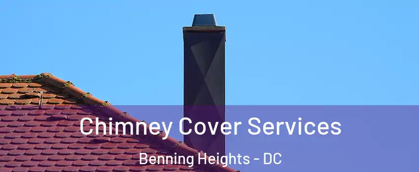 Chimney Cover Services Benning Heights - DC